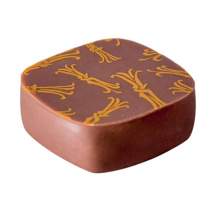 sensation ganache vanille di valrhona