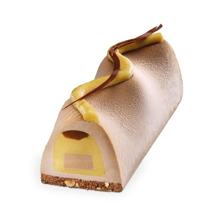 stampo tronchetto insert slalom di valrhona